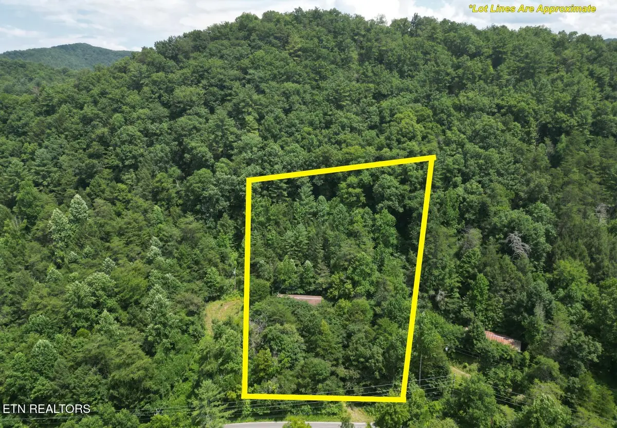 3576 Wilhite Rd, Pigeon Forge, TN 37876 - #1