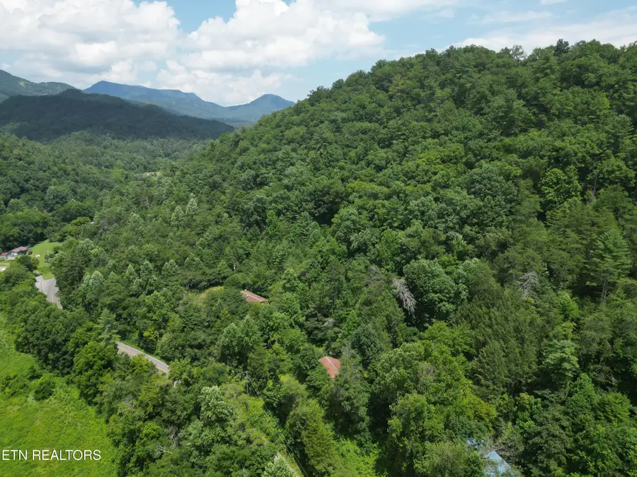 3576 Wilhite Rd, Pigeon Forge, TN 37876 - #3