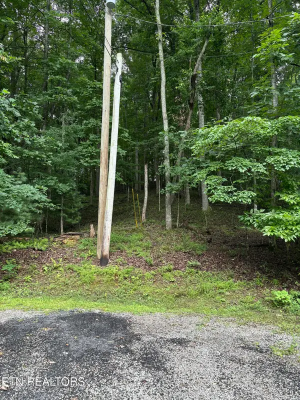 14 Lynhurst Circle, Crossville, TN 38558