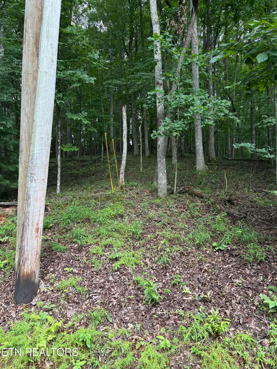 14 Lynhurst Circle, Crossville, TN 38558 - #2