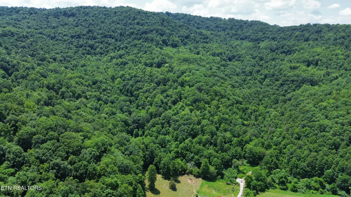 0000 Lick Creek Lane, Lafollette, TN 37766 - #1