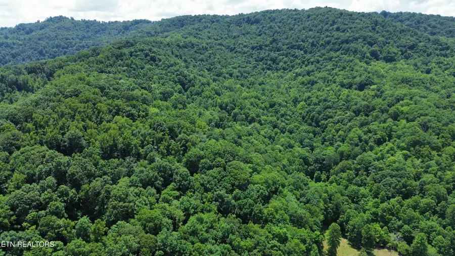 0000 Lick Creek Lane, Lafollette, TN 37766 - #2