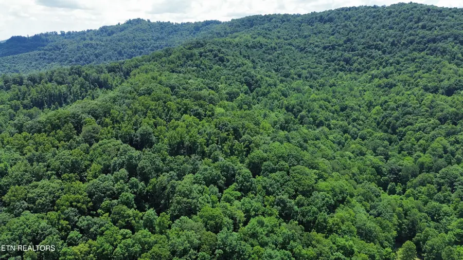 0000 Lick Creek Lane, Lafollette, TN 37766 - #3