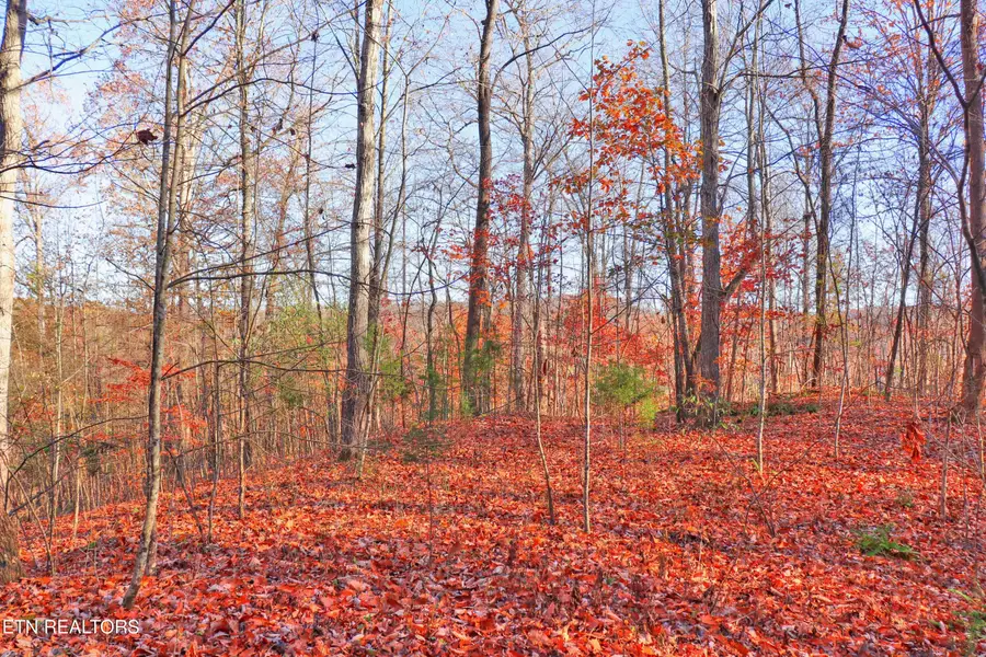 Lot 190 Hickory Way, Lafollette, TN 37766 - #3