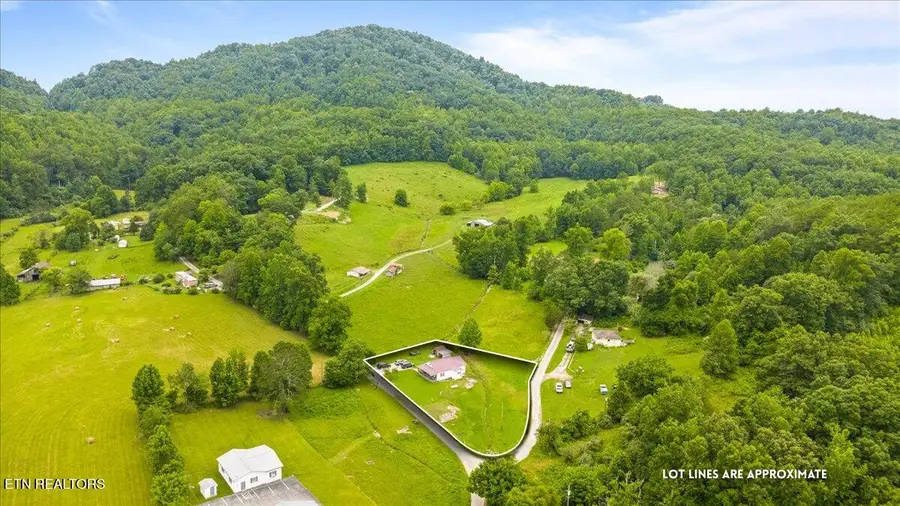 982 Little White Oak Rd, Duff, TN 37729 - #2