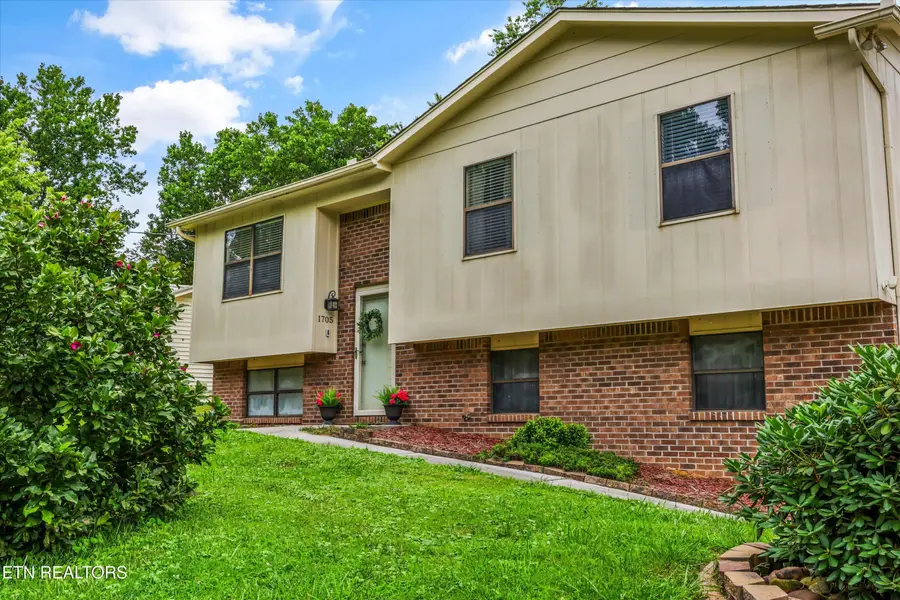 1705 Sundrop Drive, Knoxville, TN 37921 - #3