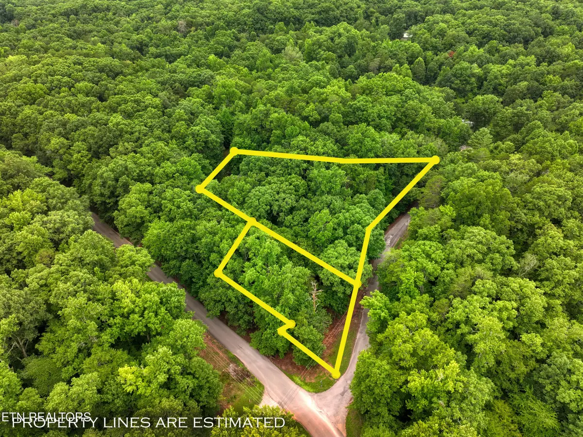 Lake Overlook Drive, Rockwood, TN 37854 - #1