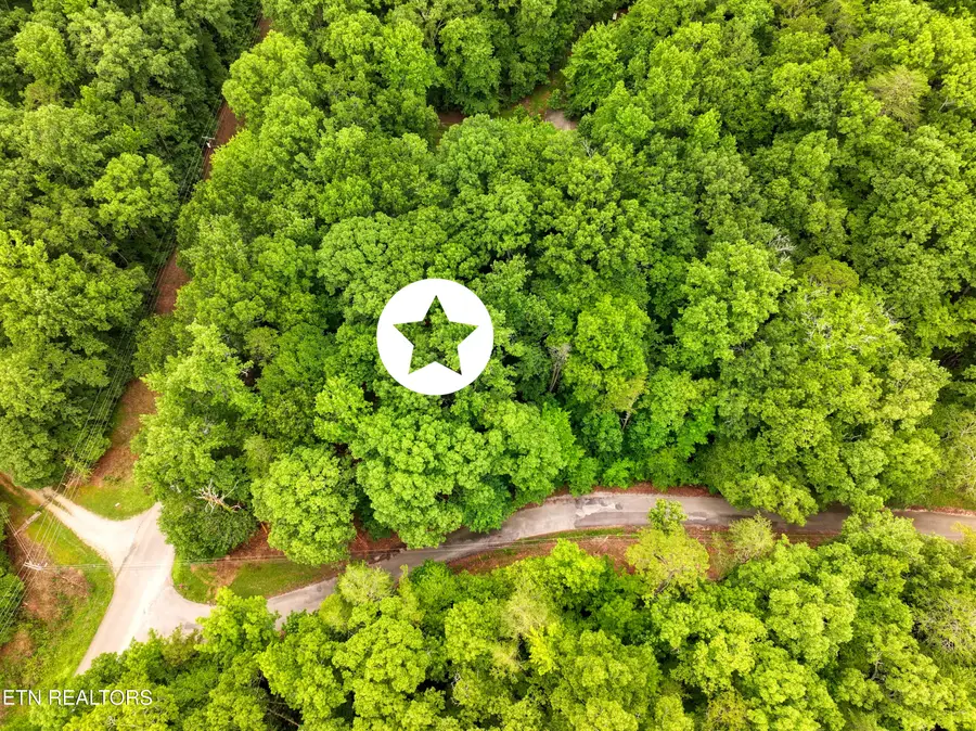 Lake Overlook Drive, Rockwood, TN 37854 - #3