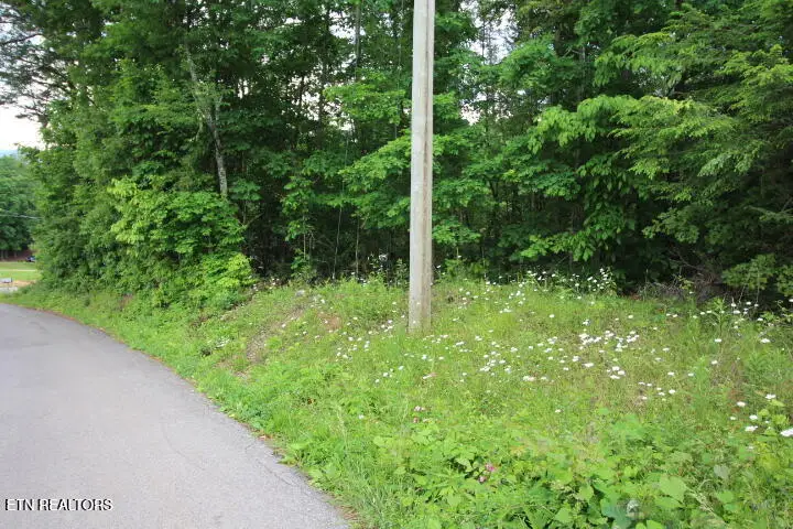 523 Rudd Hollow Rd, Townsend, TN 37882 - #1