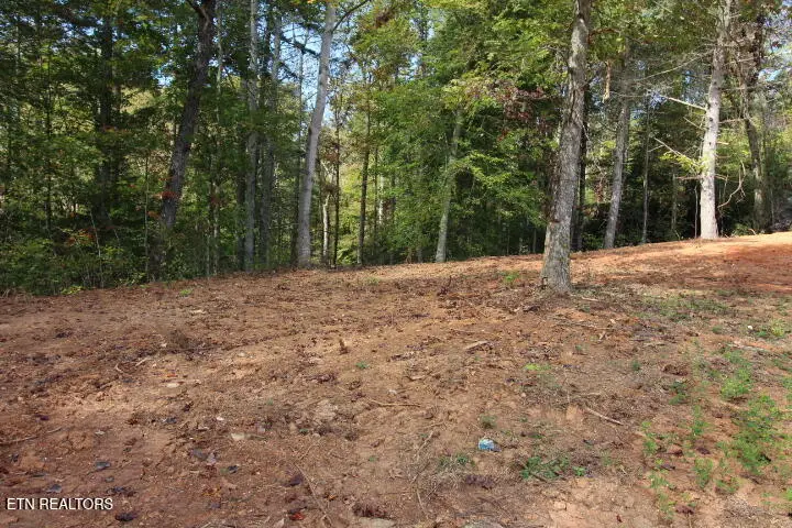 523 Rudd Hollow Rd, Townsend, TN 37882 - #2
