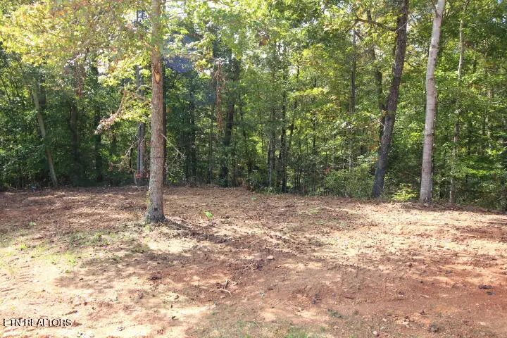 523 Rudd Hollow Rd, Townsend, TN 37882 - #3