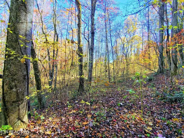 Vowell Mountain Lane, Rocky Top, TN 37769