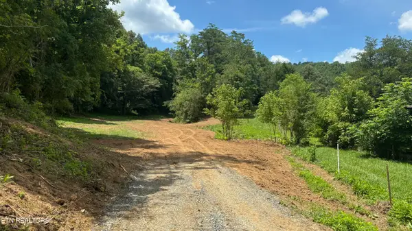 Bogard Rd, Cosby, TN 37722