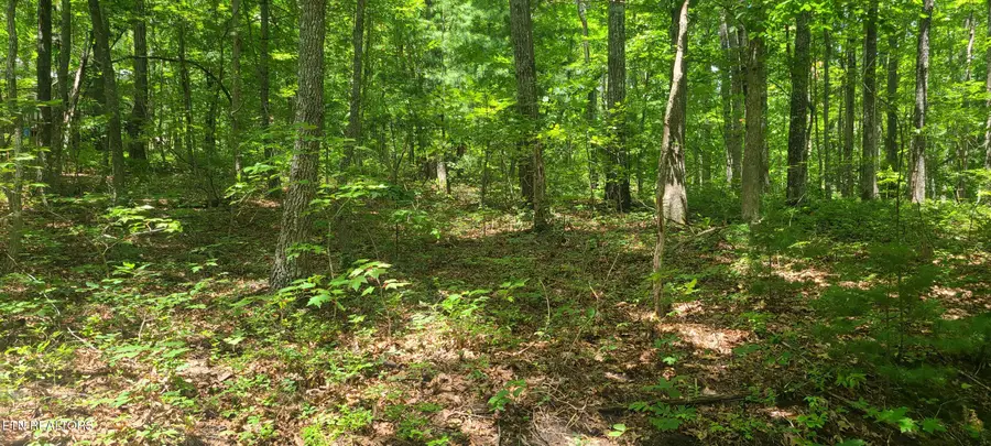 Lot 32,33 Gold Pond Way, Tallassee, TN 37878 - #3