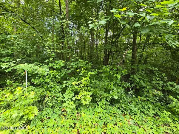 Lot 133 Lower Brow Rd, Dunlap, TN 37327