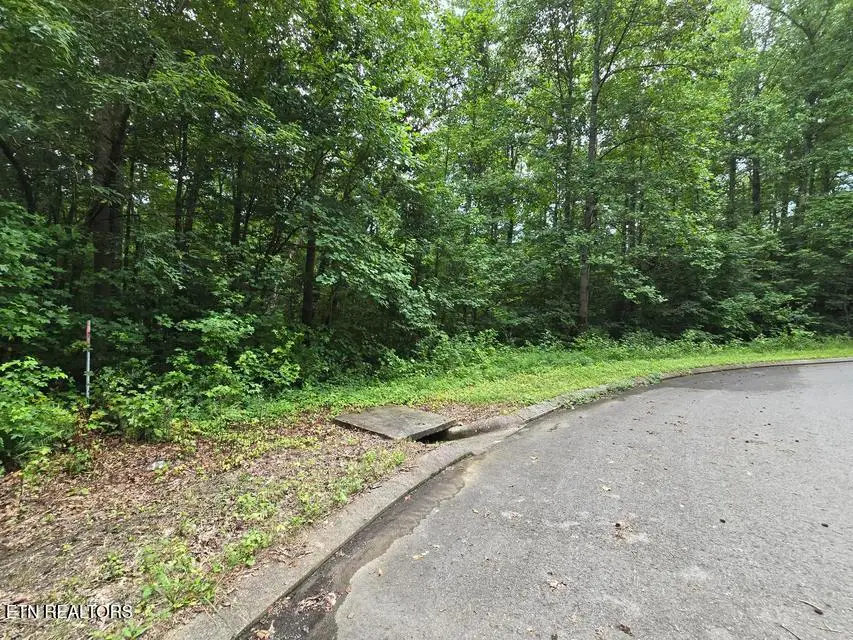 Lot 133 Lower Brow Rd, Dunlap, TN 37327 - #2