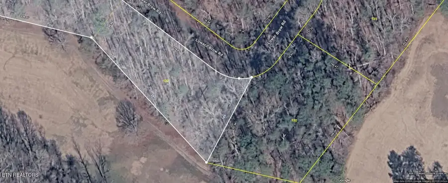 Lot 133 Lower Brow Rd, Dunlap, TN 37327 - #3