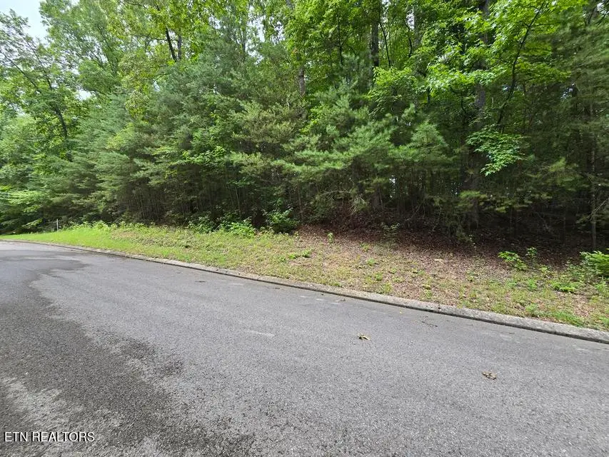 Lot 134 Lower Brow Rd, Dunlap, TN 37327 - #1