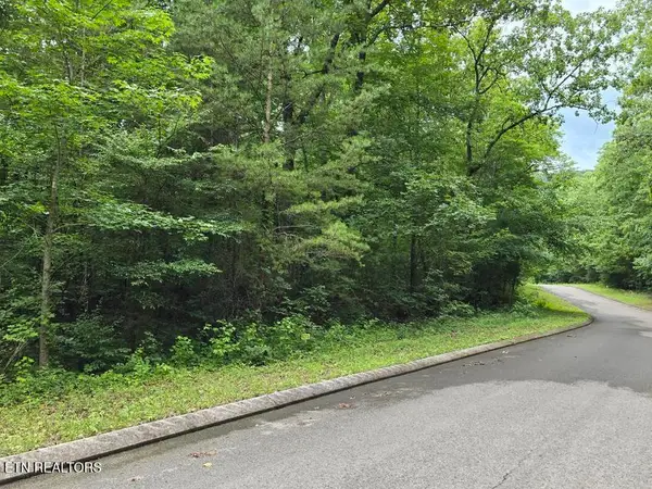 Lot 135 Lower Brow Rd, Dunlap, TN 37327