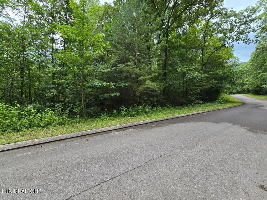 Lot 135 Lower Brow Rd, Dunlap, TN 37327 - #3