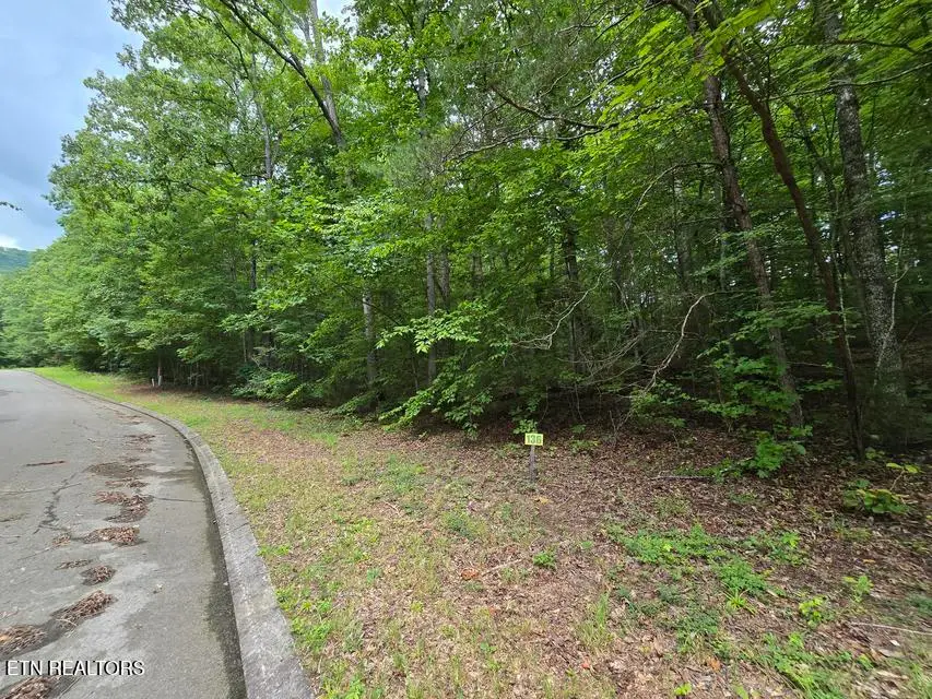 Lot 136 Lower Brow Rd, Dunlap, TN 37327 - #3