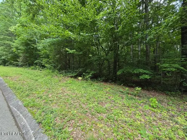 Lot 138 Lower Brow Rd, Dunlap, TN 37327