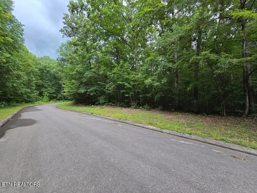 Lot 140 Lower Brow Rd, Dunlap, TN 37327 - #1