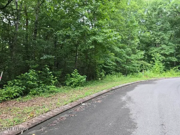 Lot 141 Lower Brow Rd, Dunlap, TN 37327