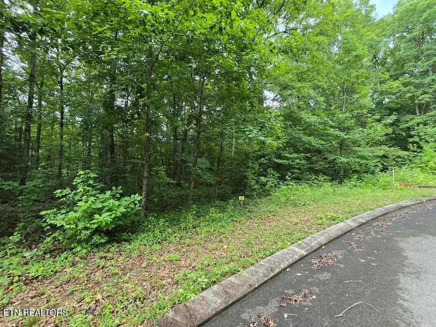 Lot 141 Lower Brow Rd, Dunlap, TN 37327 - #3