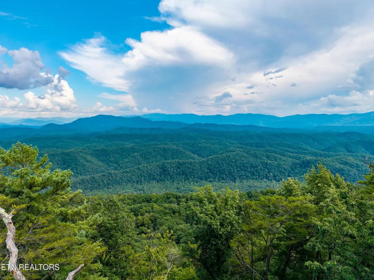 Lot 45 Tower Rd, Tallassee, TN 37878 - #1