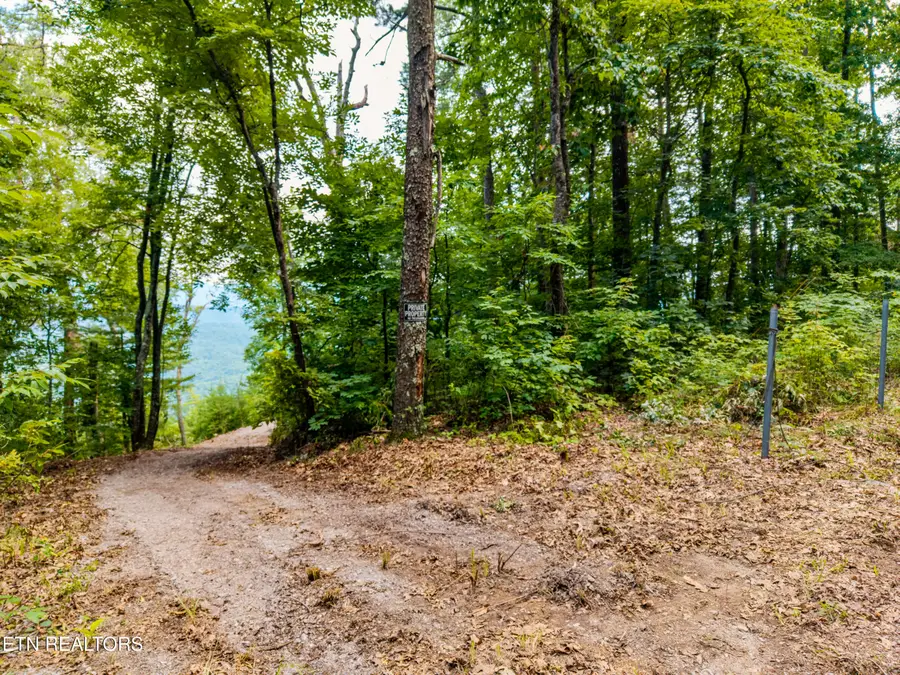 Lot 45 Tower Rd, Tallassee, TN 37878 - #2