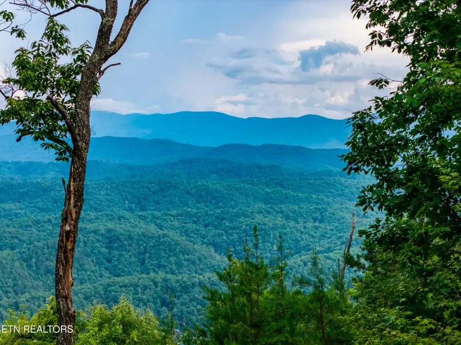 Lot 45 Tower Rd, Tallassee, TN 37878 - #3
