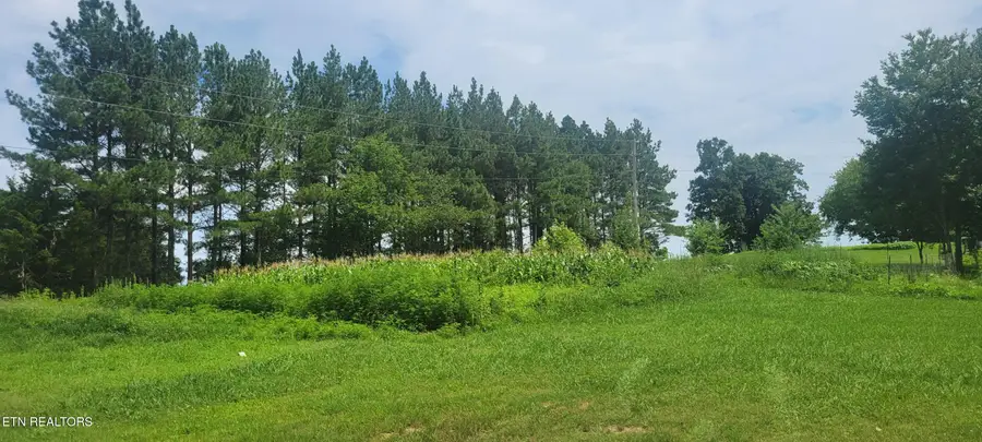 Reed Rd, Ten Mile, TN 37880 - #3