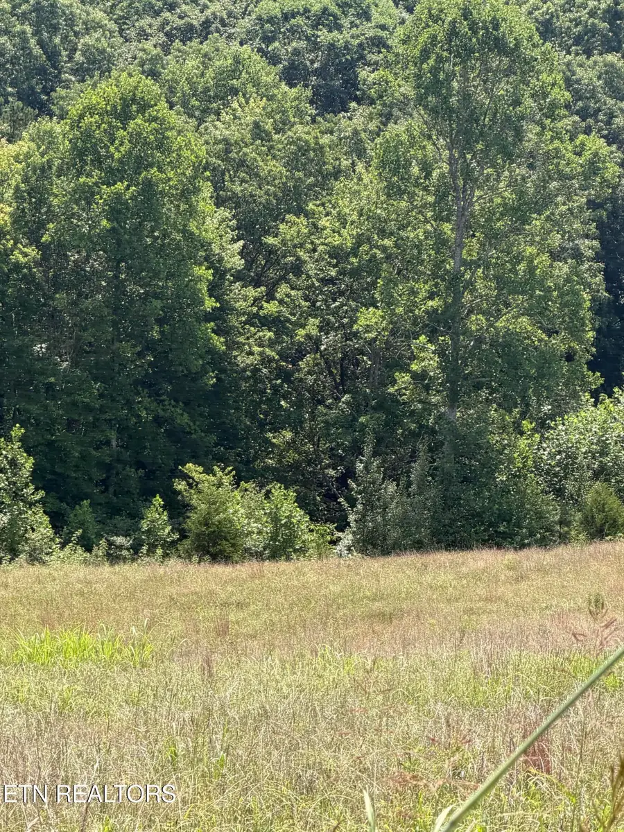 Iron Works Rd, Harrogate, TN 37752 - #3