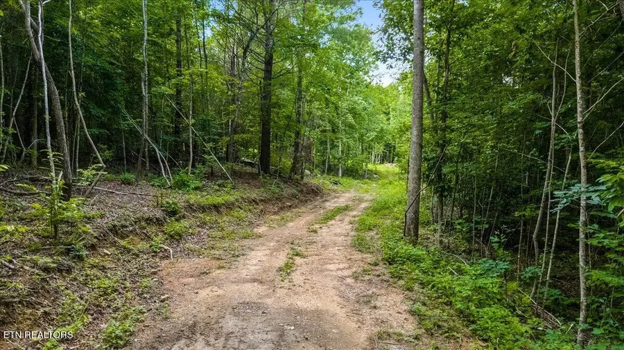 638 Jane Phillips Rd, Oneida, TN 37841 - #3