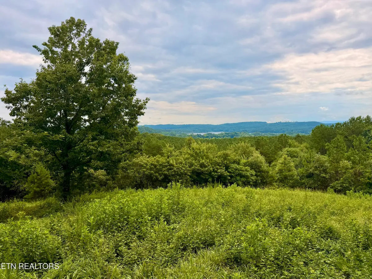 NW Eads Bluff Rd, Georgetown, TN 37336 - #1