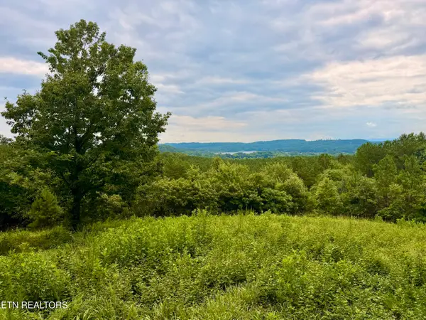 NW Eads Bluff Rd, Georgetown, TN 37336