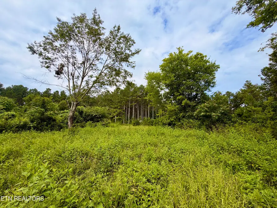 NW Eads Bluff Rd, Georgetown, TN 37336 - #3