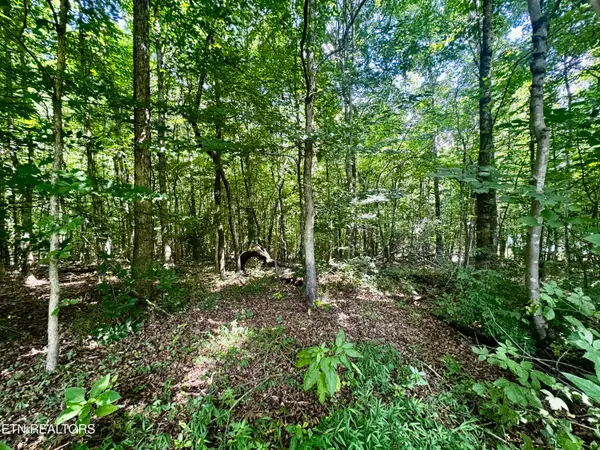 0 Greenwell Rd, Knoxville, TN 37938