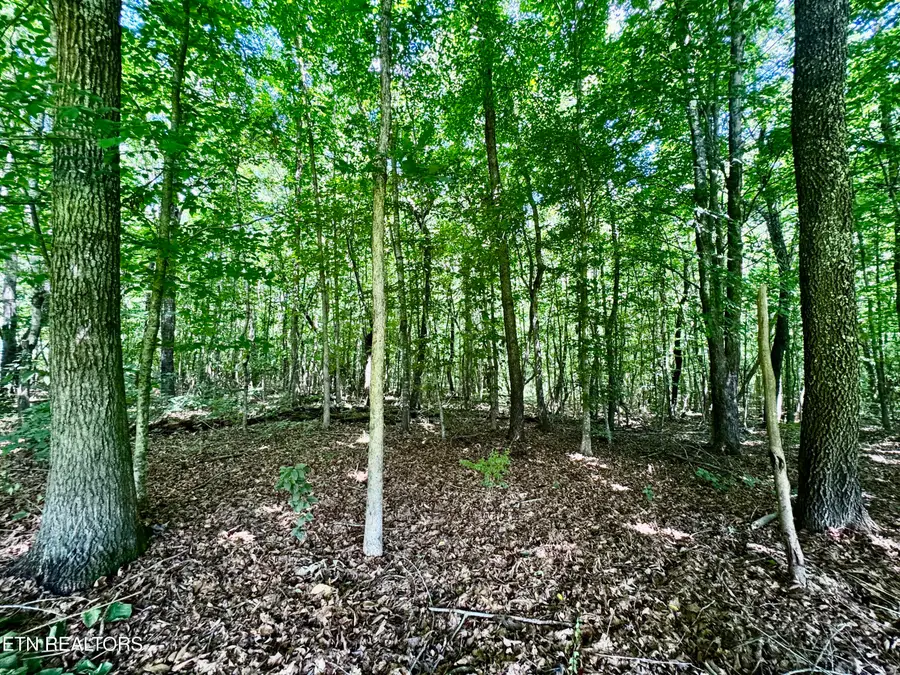 0 Greenwell Rd, Knoxville, TN 37938 - #3