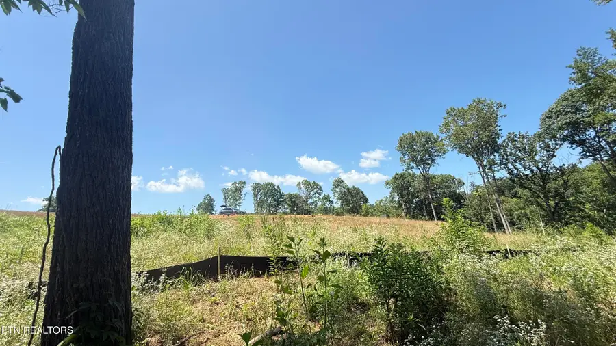 2828 SW Shorewoood Point, Morristown, TN 37813 - #3