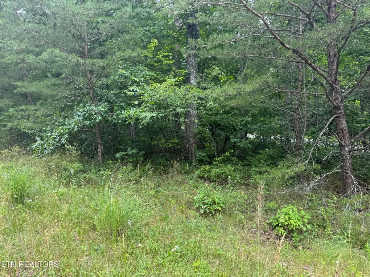 8941 Pima Drive, Crossville, TN 38572 - #1