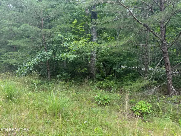 8941 Pima Drive, Crossville, TN 38572