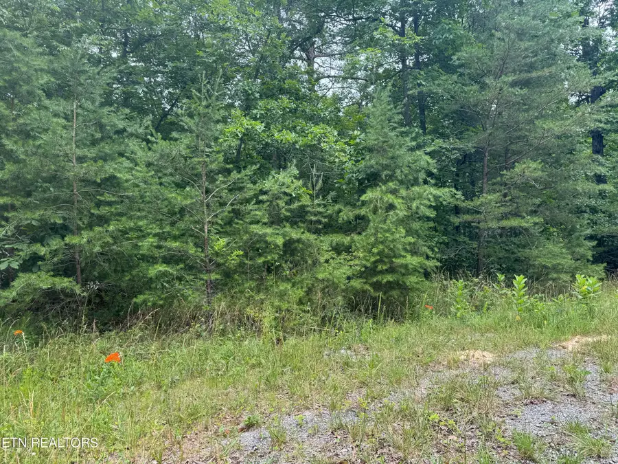 8941 Pima Drive, Crossville, TN 38572 - #2