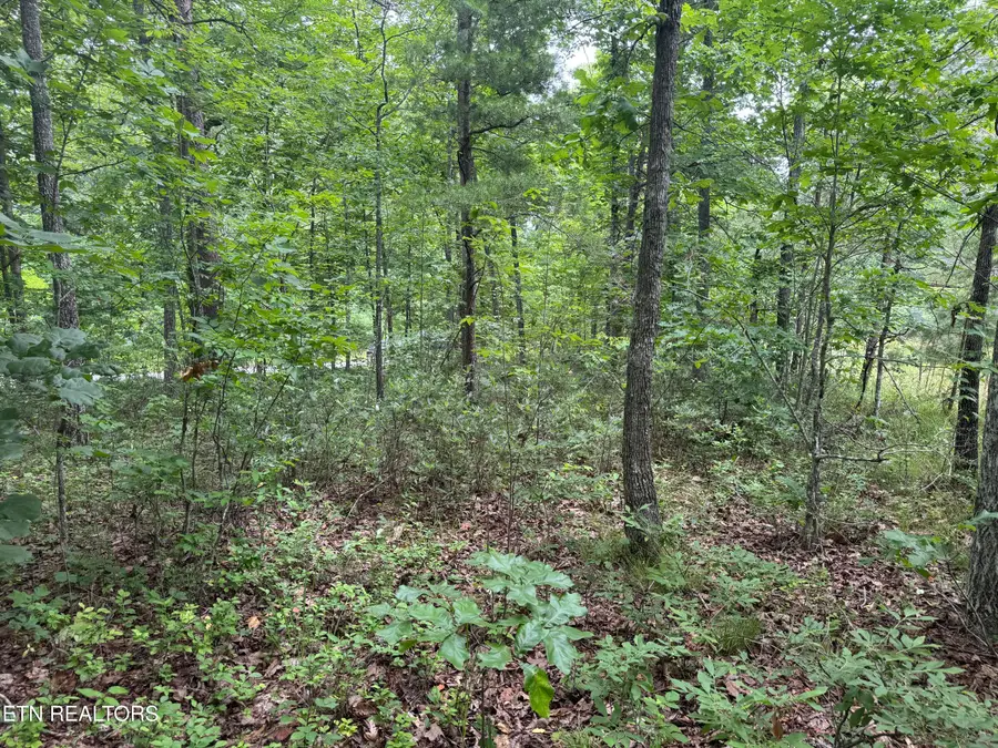 8941 Pima Drive, Crossville, TN 38572 - #3