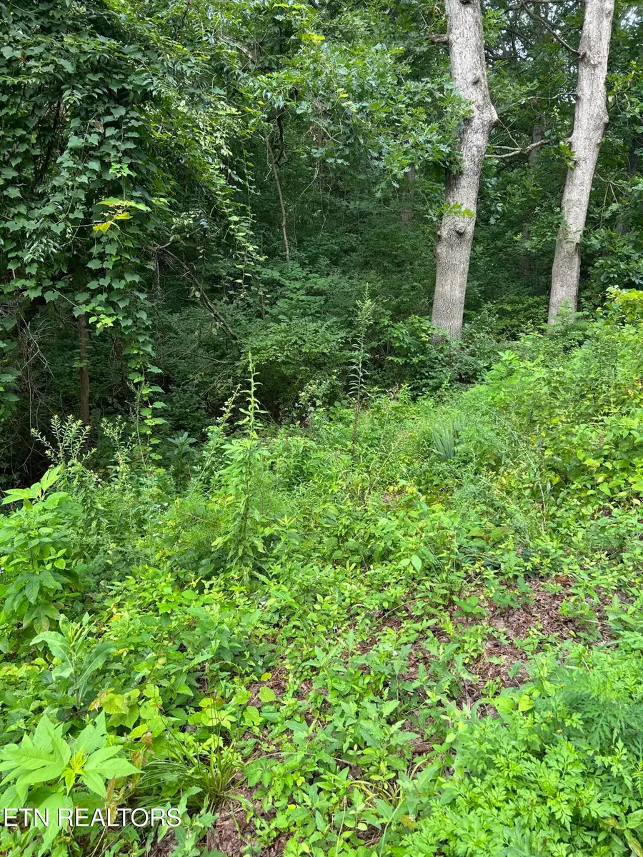 1417 Joe Hinton Rd, Knoxville, TN 37931 - #2
