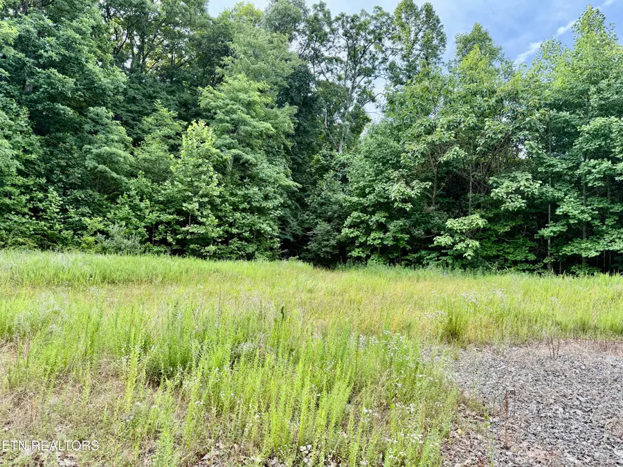 Marcum Creek Rd, Oneida, TN 37841 - #2