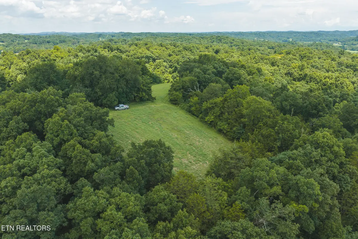 114 Acres S Mohawk Rd, Midway, TN 37809 - #1