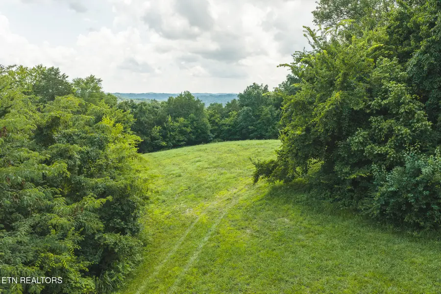 114 Acres S Mohawk Rd, Midway, TN 37809 - #3