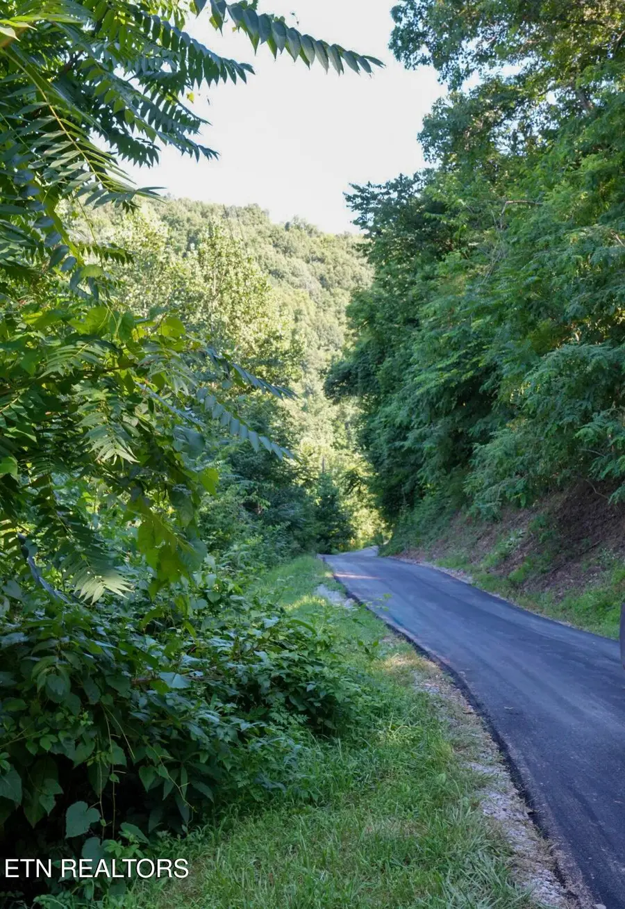 1668 Goodwater Rd, Bybee, TN 37713 - #3